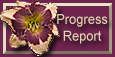 Button Link to Progress Report