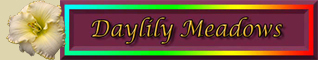 Daylily Meadows Banner