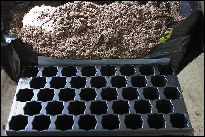 001b-Seedtray-Prep