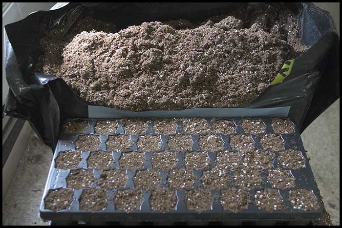 001c_Seedtray_Prep